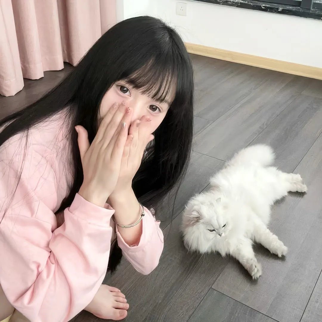 白烂贱客